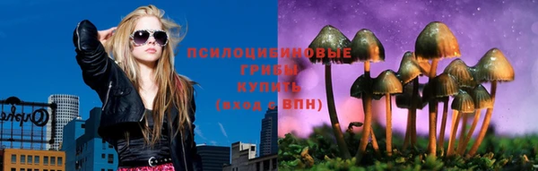 крисы Верея