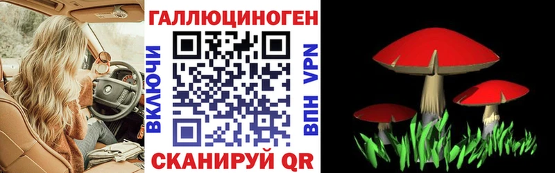 Псилоцибиновые грибы Psilocybine cubensis  где найти наркотики  Псков 